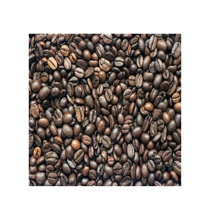 Spezialität Bratkaffeebohnen Bratkaffeebohnen 100 % Spitzenqualität Brat Robusta Kaffeebohne Beste Bratung für Trinkzwecke