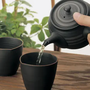 Belle théière thermique traditionnelle en céramique kyusu thé vert fabriquée au Japon