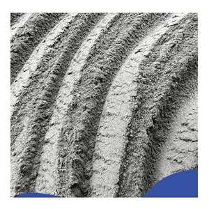 ผงดอกผีเสื้อ บรรจุภัณฑ์สำหรับจัดเลี้ยงแบบขายส่ง กลีบดอกบดสำหรับบุฟเฟ่ต์โรงแรม เคาน์เตอร์เครื่องดื่ม และโรงงานเบเกอรี่ เวียดนาม - Product Image 4