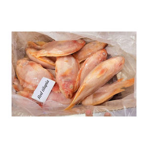 Selección superior de tilapia roja congelada, ofrecida a precio de descuento para compradores comerciales a gran escala. - Product Image 4