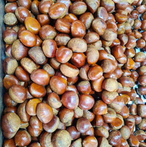 Castañas crudas disponibles a precios mayoristas bajos, ideales para distribuidores y proveedores de alimentos orgánicos - Product Image 1