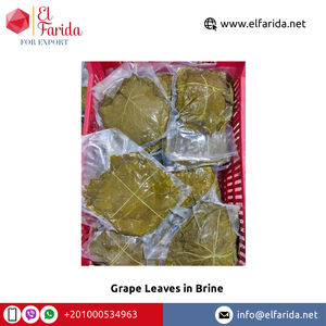 Exportador Mundial de Hojas de Parra en Salmuera de la Mejor Calidad para Exportación a Granel |   Proveedor de Hojas de Parra Egipcias - Product Image 6