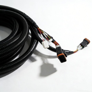 Harnais de câblage automobile personnalisé, étanche, avec connecteur Tyco <span class=keywords><strong>2</strong></span> broches JST, faisceau de câbles, assemblage de faisceau de câbles, câblage électrique automobile - Product Image 3