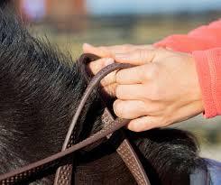 Équipement d'équitation en cuir véritable durable Accessoires de bride et de rêne de haute qualité - Product Image 2