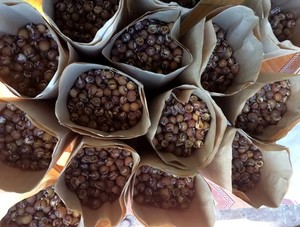 Tuerca de soaberry seca de Vietnam - Product Image 5