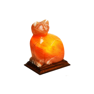 Vente en gros OEM et ODM de nouvelles lampes au sel d'animaux en forme avec sel rose de l'Himalaya décoratif pour la maison du Pakistan - Product Image 2