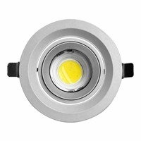 Projecteur LED encastré Koray C120 à zoom, lumière de croissance pour plantes à spectre complet, pour vitrine, éclairage intérieur