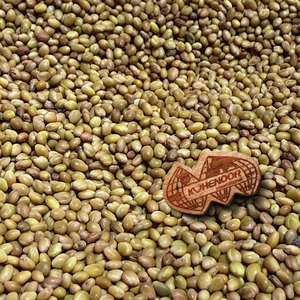 Bersuจะโคลเวอร์ | เหมาะอย่างยิ่งสำหรับการทำหญ้าแห้งและหญ้าแห้ง - Product Image 5