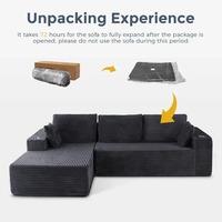 Sofá Cama Modular Seccional de Espuma sin Huesos, Comprimido al Vacío, en Caja, Personalizado, para Sala de Estar