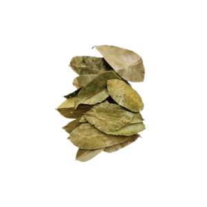 Vente chaude 2024! Feuilles de corossol séchées Échantillon gratuit Graviola pour un thé sain - Product Image 1