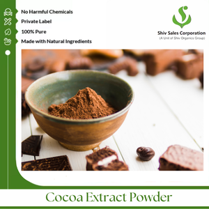 Extrait de cacao de haute pureté avec une saveur distincte pour l'achat en gros par les distributeurs internationaux et les acheteurs de l'industrie alimentaire mondiale - Product Image 2