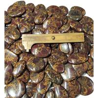 Pierre précieuse de jaspe de fruits naturel, polie des deux côtés, formes variées, pierres de jaspe de fruits en vrac pour la fabrication de bijoux, cabochons en gros