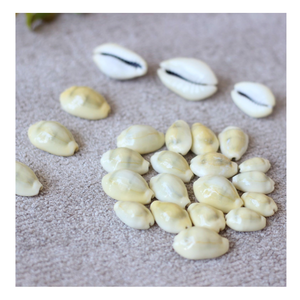 Concha de abulón: Una creación notable de las profundidades del mar, que baila y cambia como un ser vivo cada giro y cambio de color - Product Image 5