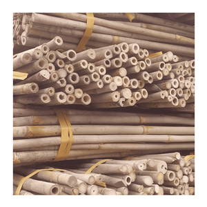 Tubes de bambou Moso du Vietnam de haute qualité, écologiques, en gros pour 2025 - Product Image 1