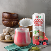 320Ml Kokoseiwit Milkshake Drink Vruchtensapsmaak-Private Label/Groothandel Drank-Marketingondersteuning-Gratis Monster