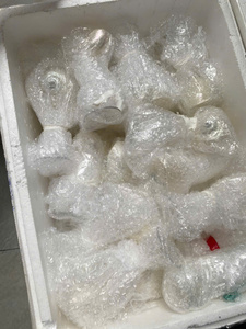 Verre à martini coquillage et conque fait à la main, articles de bar écologiques pour mariage à la plage. - Product Image 5