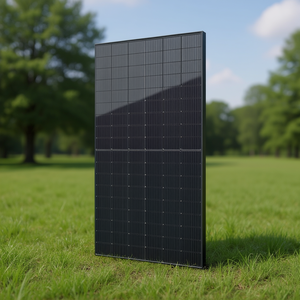 Panel Solar Trina Solar Vertex de 450W Tipo N con Lámina Trasera Blanca - Product Image 1