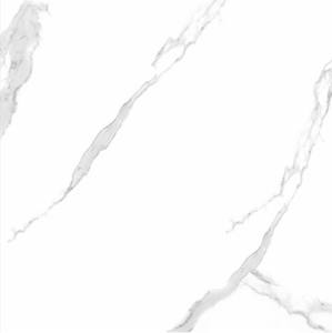 GL - 66170 Azulejos Vitrificados Digitales de 600x600 mm con Superficie Pulida de Novac Ceramic en Calidad Premium - Product Image 1