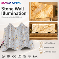 Feuille LED flexible personnalisable haute luminosité DC24V SMD 2835, découpable, ultra-fine comme du papier, pour rétroéclairage de sol