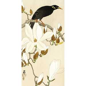 Impresión artística de Myna sobre rama de magnolia de Ohara Koson, elegante decoración de pared, PLAQUE - Product Image 1