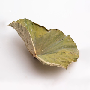 Fournisseur digne de confiance feuilles de lotus séchées feuille d'herbes sèches à usages multiples pour boisson de désintoxication - Product Image 1