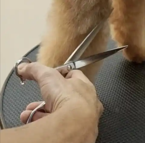 Stainless Steel Professional Pet <b>Dog</b> Grooming Scissors Cutting Curved Thinning Straight Scissors Kit - Product Image 5