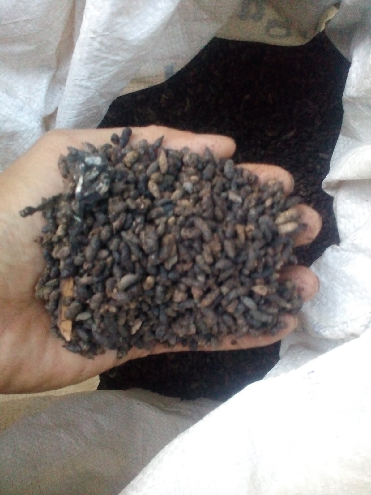 Bat Guano Dnger - 100 % rein, 500 kg Jumbo Sack aus Vietnam