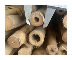 Poteau de canne en bambou naturel écologique produit de haute qualité en gros Vietnam usine fournisseur d'exportation directe - Product Image 1