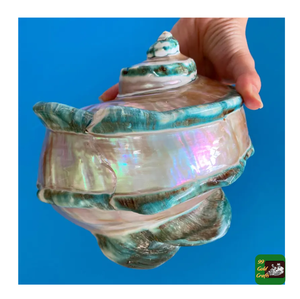 Marmoratus เทอร์โบขัดเงา: ผ้าโพกศีรษะสีเขียวเปลือกหอยเทอร์โบสีขาวเปลือกหยกเนื้อธรรมชาติที่เป็นเอกลักษณ์สำหรับงานฝีมือและการตกแต่ง - Product Image 1