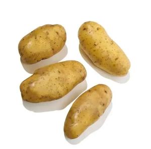 Compre patatas holandesas frescas a granel y ahorre en patatas de calidad perfectas para cocinar y hornear - Product Image 4