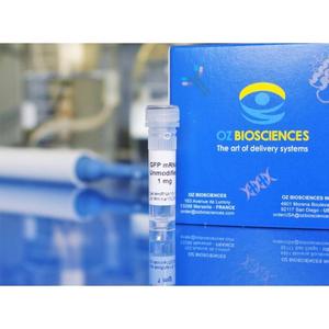 Oz Biosciences GFP Reporter Gène MRNA Produit modifié-Ciblage d'une technologie de PH-mètre efficace - Product Image 1