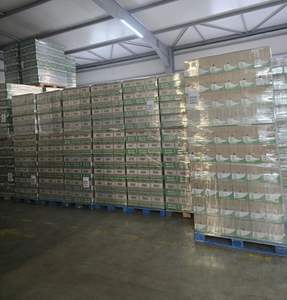 Original para Ariel All-In-One 1 Pods para venta al por mayor Floral limón detergente líquido para prendas de vestir características desechables - Product Image 4