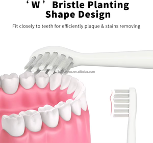 High-Density Bristle Round Rotating Brush <b>Heads</b> Generic for Oral Bs Electric <b>Toothbrush</b> Replacement Tips Wholesale OEM Factory - Product Image 3