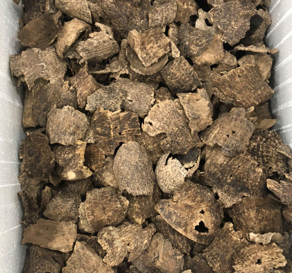 เศษไม้กฤษณา เวียดนาม 5