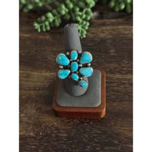 Travis Jim Blue Ridge Turquoise & Sterling Silver <b>Adjustable</b> Dragonfly Cluster <b>Ring</b> Gift with Inlay Settings - Product Image 1