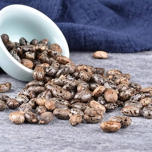 Semillas de Ricino de Alta Calidad, Suministro a Granel |   Semillas de Ricino Naturales Crudas para la Extracción de Aceite de Ricino |   Exportador Mayorista - Product Image 5