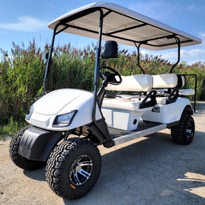VENTA AL POR MAYOR ENVÍO GRATUITO NUEVA OFERTA PARA CARRO DE GOLF ELÉCTRICO DE 6 PLAZAS - Product Image 1