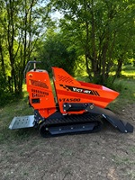 Mini-dumper autochargeur Victory OEM, transporteur à chenilles multi-chargeurs, capacité 500 kg, à essence, pour usage domestique, brouette motorisée
