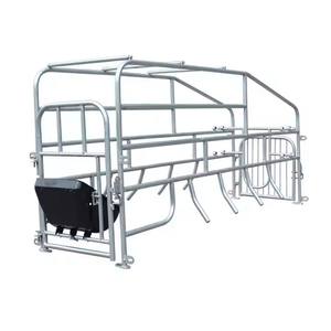 Nuevo equipo de cama de parto de cerdas porcinas de calidad superior, pluma de cerdas y pluma de parto para cría, venta de jaulas de parto - Product Image 2