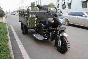 รถมอเตอร์ไซค์สามล้อ3ล้อสำหรับบรรทุกของใหม่รถมอเตอร์ไซค์150cc ขนส่งในฟาร์ม - Product Image 2