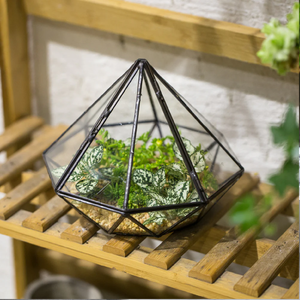 En forme de pyramide en métal noir encadré terrarium avec un fleuron pointu, le logement des plantes succulentes. Disponible aux prix de gros. - Product Image 6