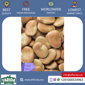 2024 New Crop Agriculture Grade Organic Kidney <b>Beans</b> Fava <b>Beans</b> Excellent Quality Whole Split Top Selling <b>for</b> Bulk Buyers - Product Image 5