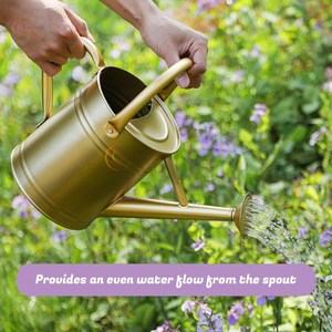 Modern Design Watering <b>Can</b> Gold Color Unique Stylish Handmade Galvanized Tin <b>Water</b> <b>Can</b> For Garden Decor Accessories Supplies - Product Image 5