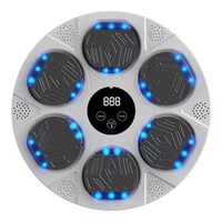 Tendance Nouveautés Smart Music Boxing Machine Adult Boxing Wall Target Training avec Blue Tooth Relaxing Training