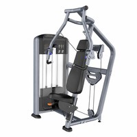 Máquina Comercial de Entrenamiento de Pecho con Sistema de Pesas de 100 kg, Equipo de Entrenamiento de Fuerza para Gimnasio y Fitness