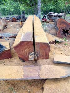 Doussie lumber and Timber :High Quality Round Teak , Tali , Padouk - Product Image 3