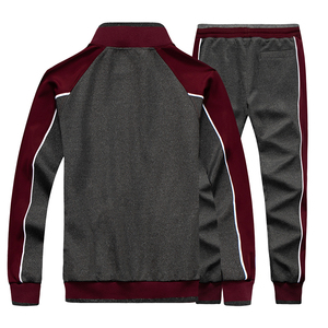 Deux pièces survêtement à capuche pour hommes 100% coton Sport Jogging ensemble veste confortable pantalons de survêtement équipe survêtement pour la saison d'automne - Product Image 4