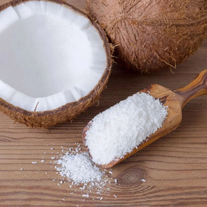 Polvo de coco desecado al por mayor, precio barato, grado fino, CC, desecar cocos de productor de Vietnam de confianza - Product Image 1
