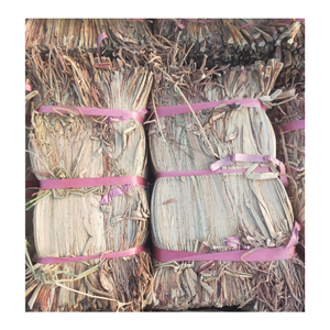 Bon Prix Jacinthe D'eau Séchée/HYACINTHE D'EAU MATÉRIEL - Product Image 1