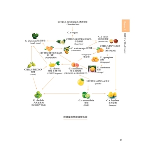 The Complete <b>Book</b> of Energy Essential Oil Aromatherapy a Medical <b>Science</b> Guide - Product Image 5